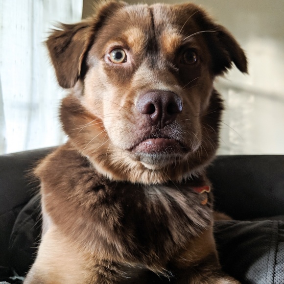 Meet your Posher, Katie - Picture 2 of 6